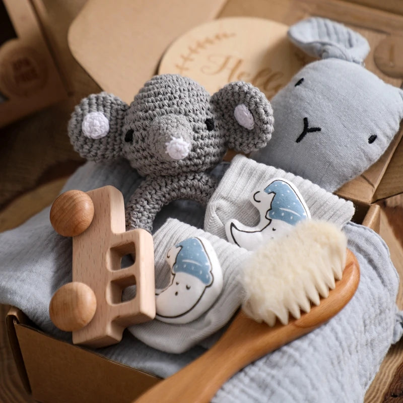 Baby Bath Toy &  Gift Set