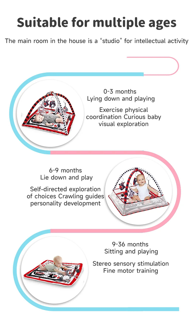 Baby Activity Gym Play Mat