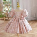 Girls Floral Princess Dress