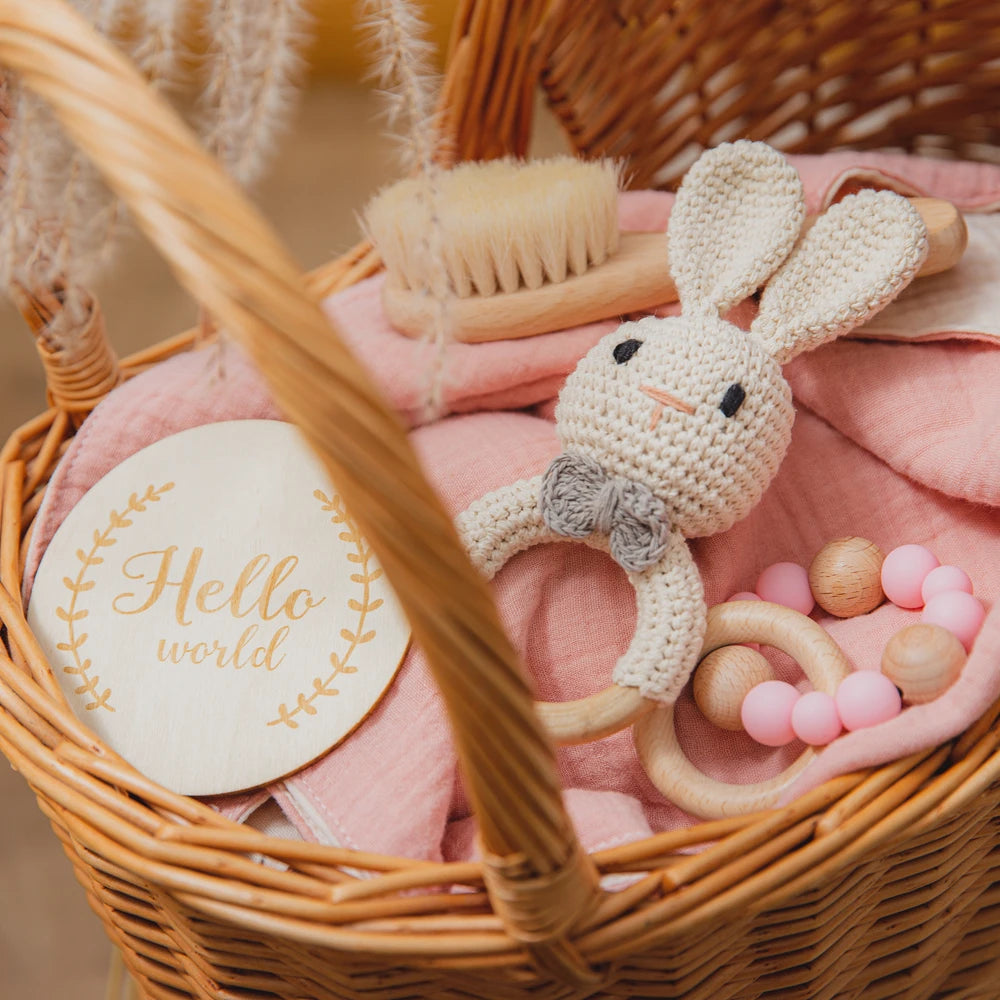 Newborn Bath Toy & Milestone Card Gift Set